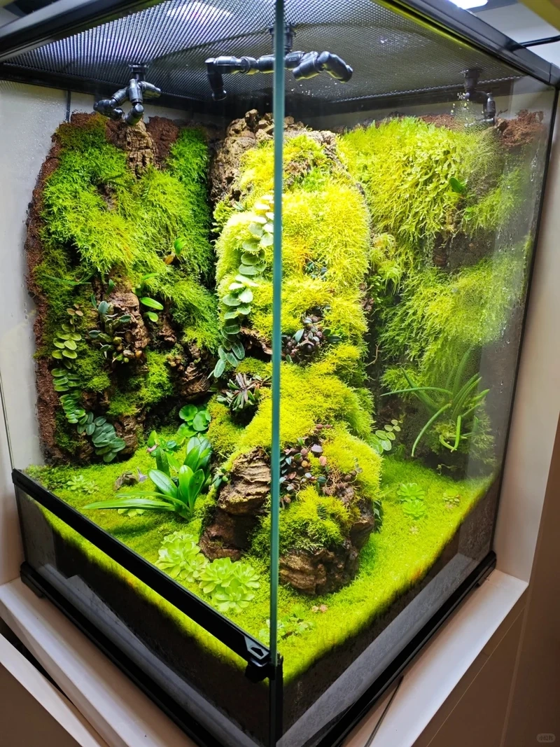 Góc làm việc xanh mát với hồ thủy sinh rêu mini để bàn