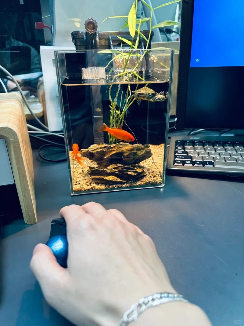 Giảm stress mỗi ngày nhờ hồ thủy sinh giúp thư giãn