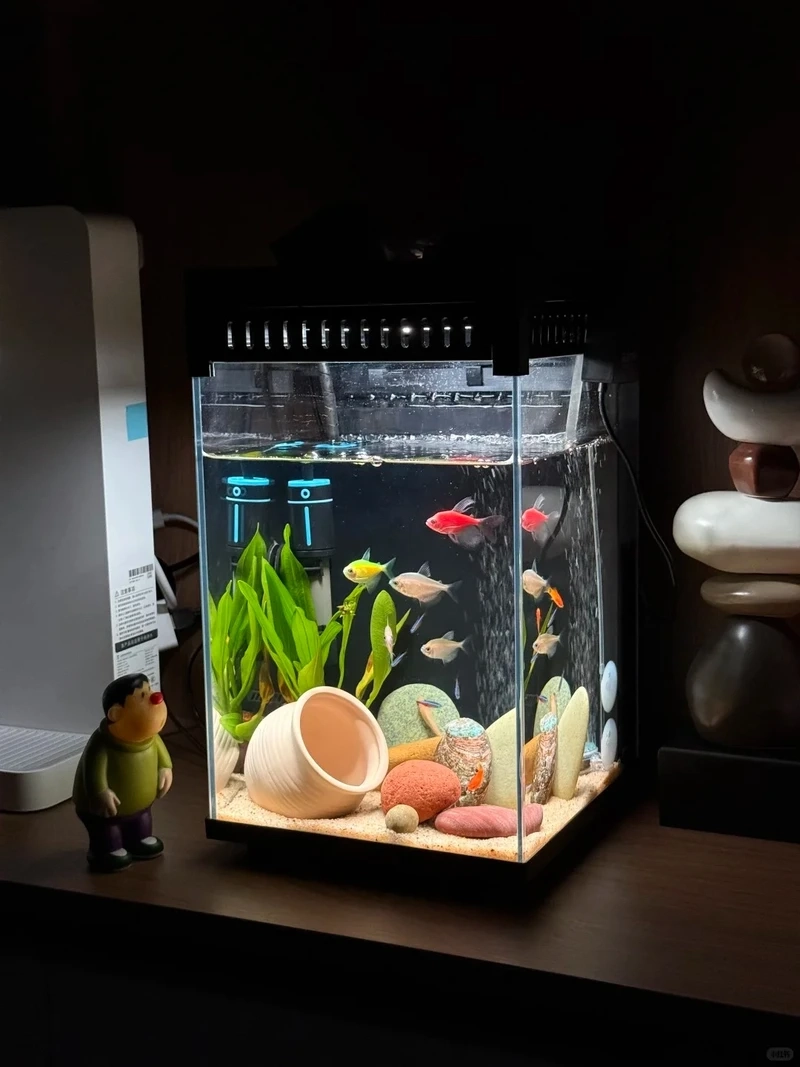 Trang trí không gian làm việc bằng hồ thủy sinh trang trí phòng làm việc