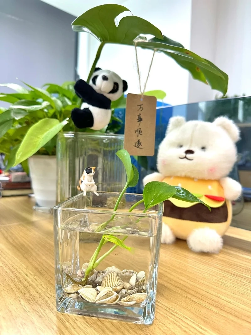 Tạo ấn tượng chuyên nghiệp với hồ thủy sinh đẹp cho công ty