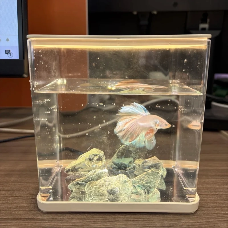 Thiết kế tối ưu cho không gian nhỏ với hồ thủy sinh văn phòng nhỏ